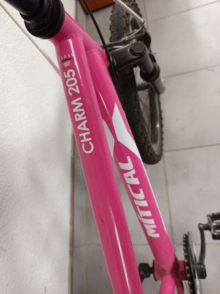 Bicicleta niña 20" rosa