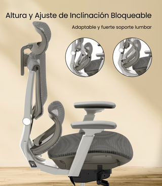 Silla ergonomica, flexispot C7