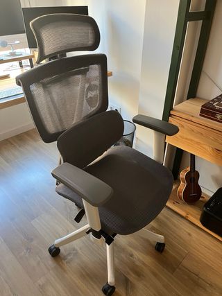 Silla ergonomica, flexispot C7