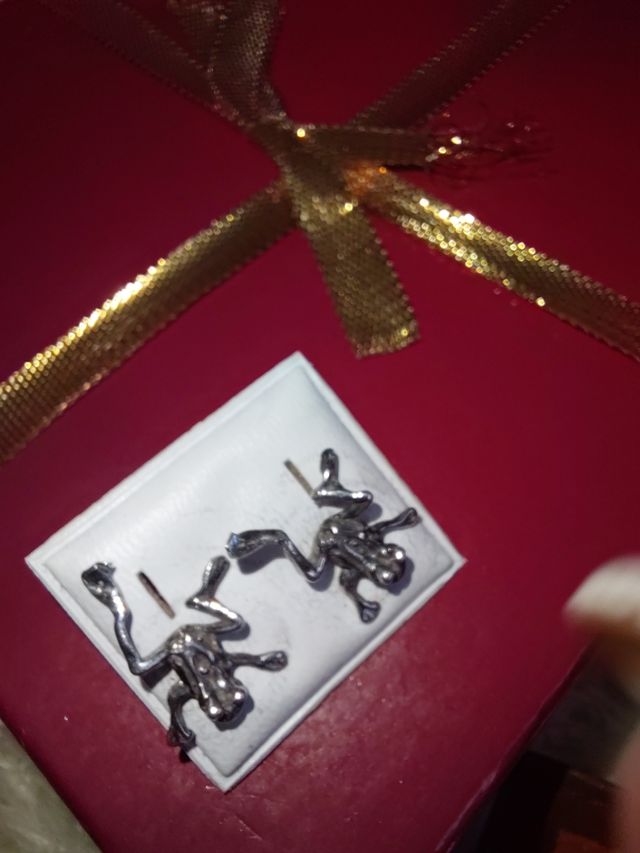 Orecchini a forma di rana in argento 925