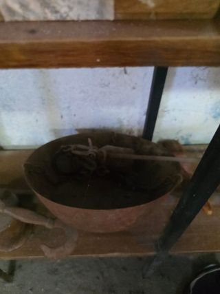 Balanza romana antigua