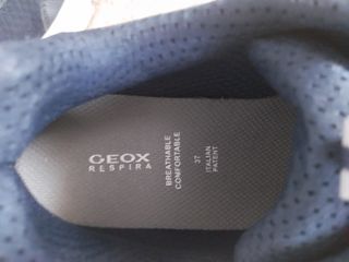Zapatillas GEOX niño - Azul y Blanco