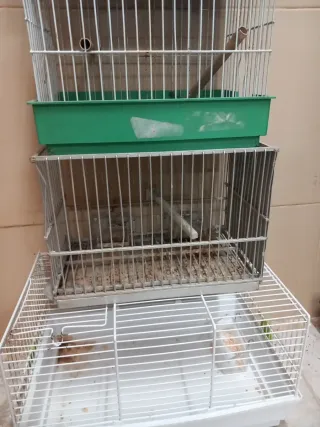 4 jaulas de pájaros