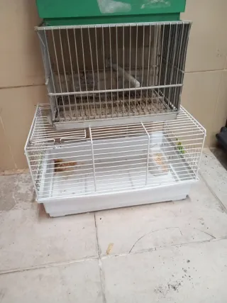 4 jaulas de pájaros