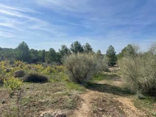 44 hectáreas en venta