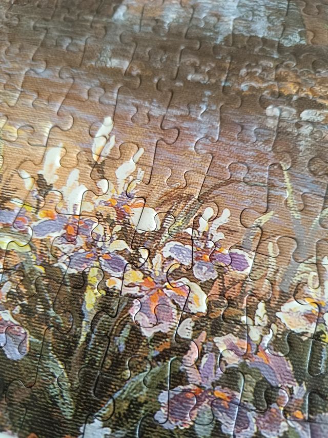 Puzzle Educa 1000 piezas