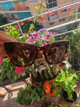 Gafas Carolina Herrera marrón