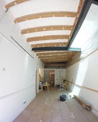Pintor Profesional: Puntual y de Confianza