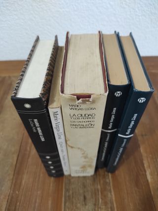 Lote Vargas Llosa 