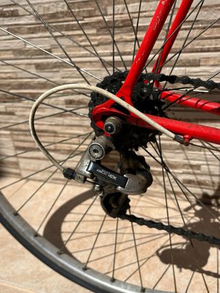 Bicicleta Razesa Nerwing 811