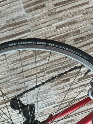 Bicicleta Razesa Nerwing 811