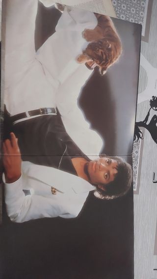 Vinilo Michael Jackson Thriller