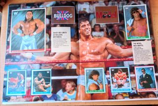 Álbum WWF Superstars ( completo )