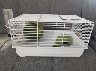 Jaula hamster