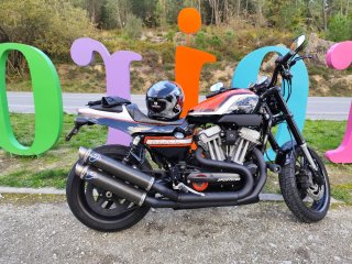 Harley XR1200