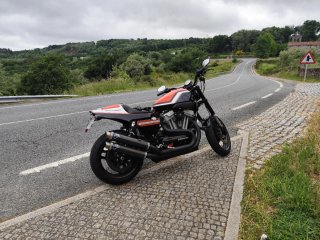 Harley XR1200