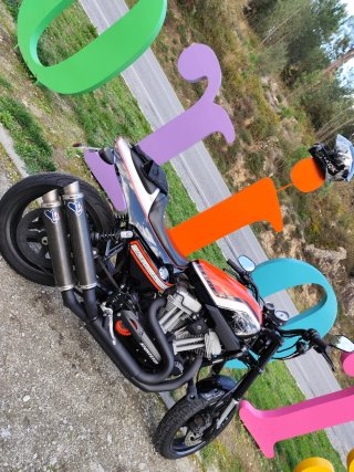 Harley XR1200