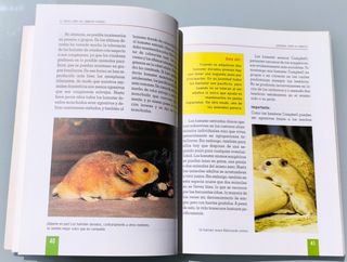 El nuevo libro Hámsters dorado y enano