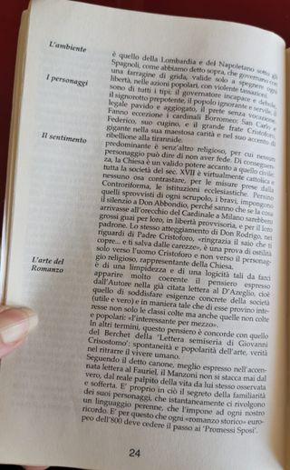 Manzoni "I Promessi Sposi" - Sintesi