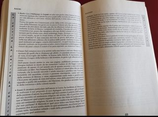 Manzoni "I Promessi Sposi" - Sintesi