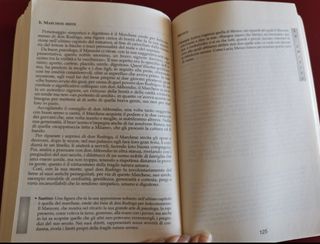 Manzoni "I Promessi Sposi" - Sintesi