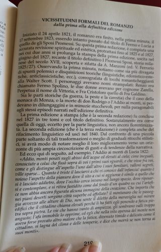 Manzoni "I Promessi Sposi" - Sintesi