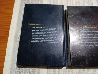 Lote de libros de Agatha Christie. Los que quedan.
