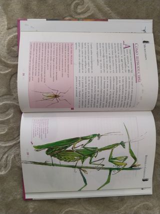 Libros Animales S.L.: 17 libros