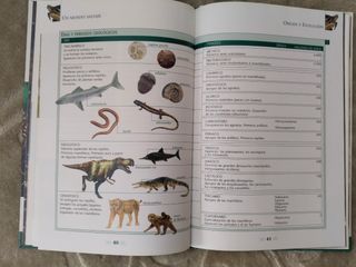 Libros Animales S.L.: 17 libros