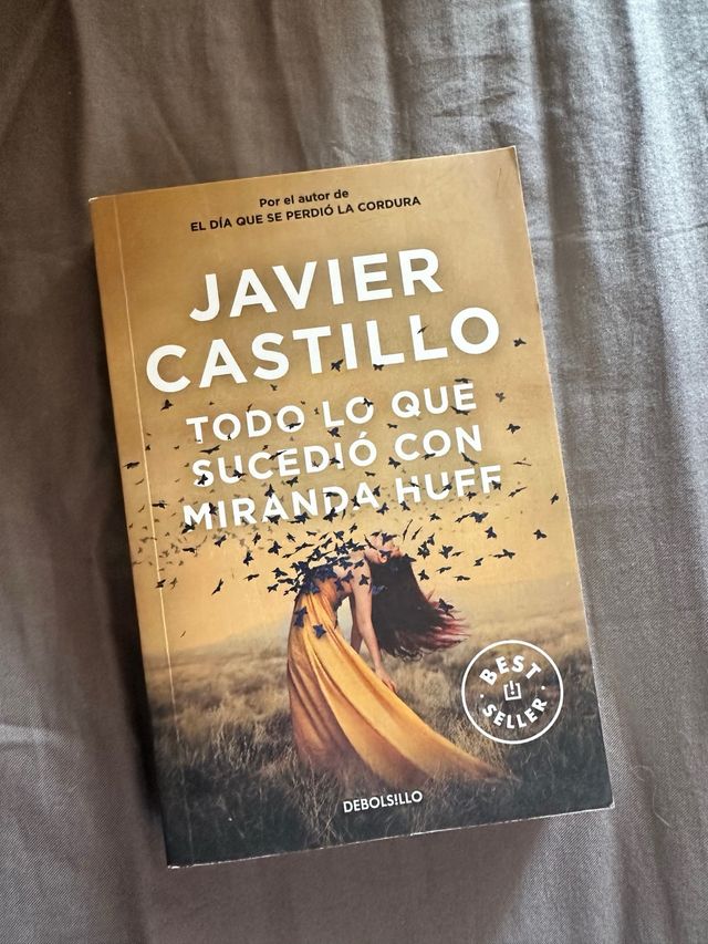 Todo lo que sucedió con Miranda de Javier Castillo