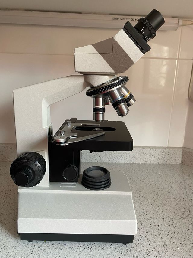 Microscopio binocular, ideal estudios celulares.