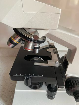 Microscopio binocular, ideal estudios celulares. 