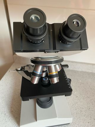Microscopio binocular, ideal estudios celulares. 