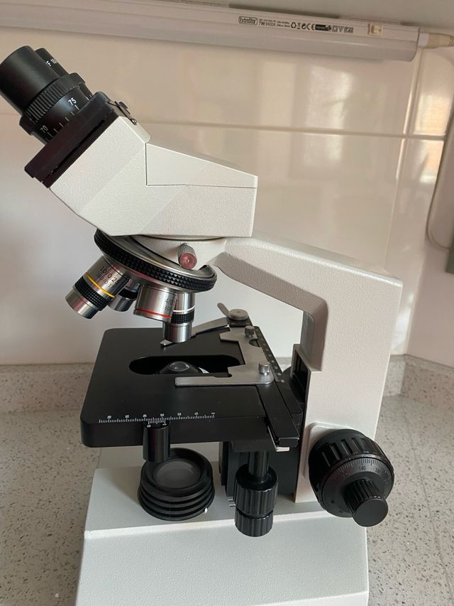 Microscopio binocular, ideal estudios celulares.