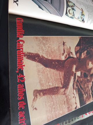 Interviú n°251 (1981)