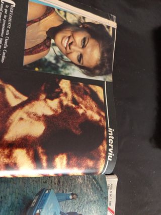 Interviú n°251 (1981)