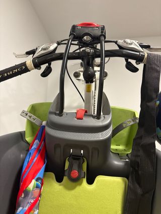 Silla bici niño trasera Thule