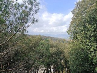 Terreno en venta en Taradell