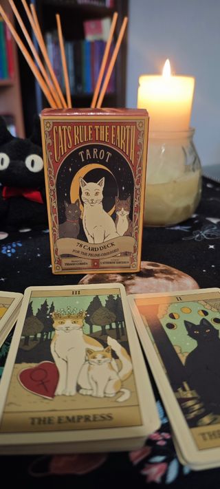 Tarot Cats Rule the Earth