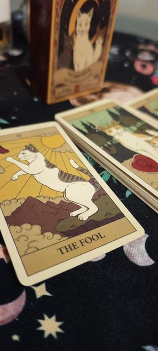 Tarot Cats Rule the Earth