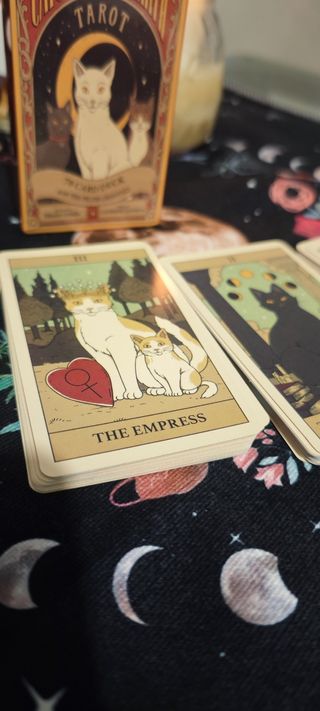 Tarot Cats Rule the Earth
