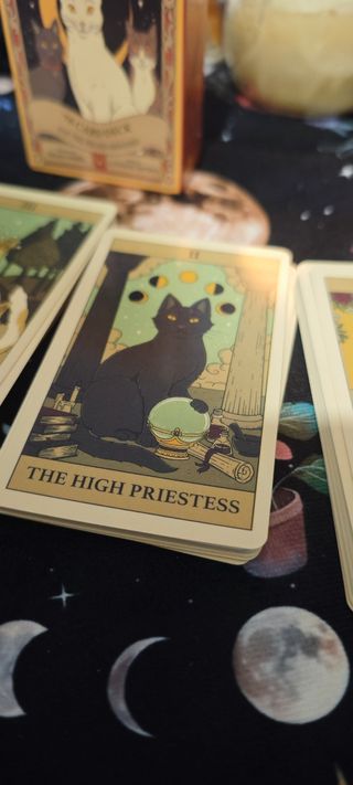 Tarot Cats Rule the Earth