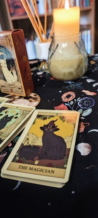 Tarot Cats Rule the Earth