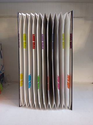 Carpeta acordeón 12 separadores