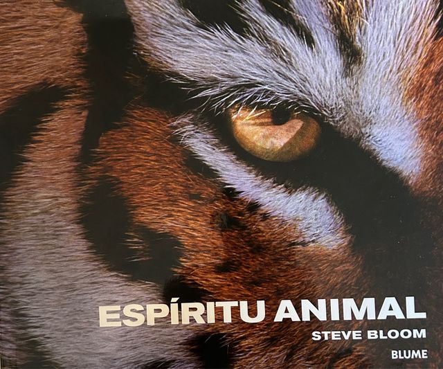 COLECCION LIBROS STEVE BLOOM