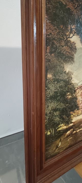 Cuadro rústico - Paisaje campestre