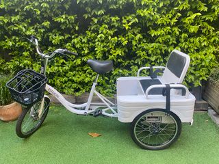 Triciclo Eléctrico