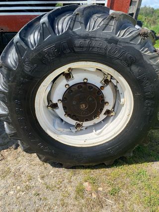 Neumáticos con llanta para tractor fiat