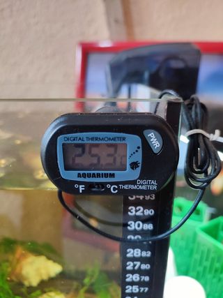 Termómetro Digital de Acuario con Sensor
