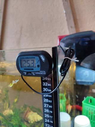 Termómetro Digital de Acuario con Sensor